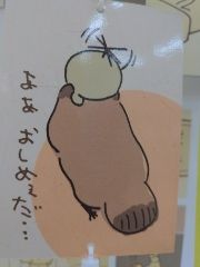 まみや