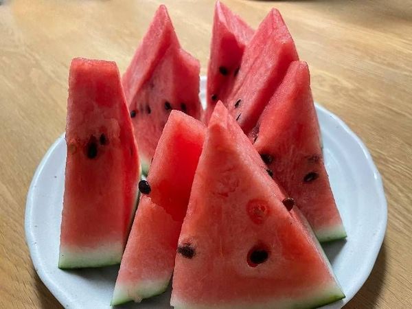 ひな
