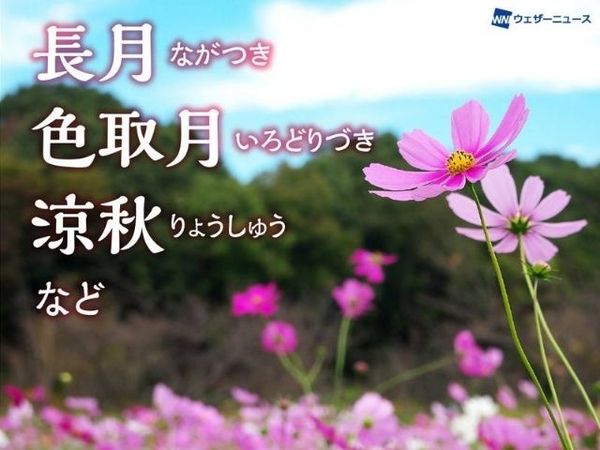 ひな