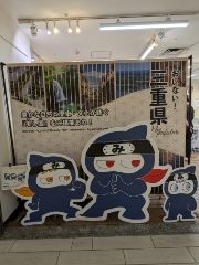 まみや