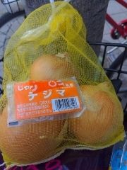 まみや