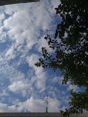まみや
