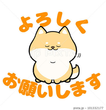 しょうこ