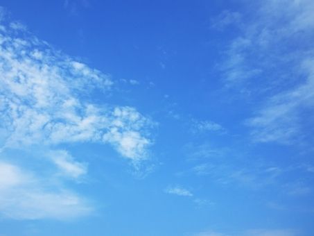しょうこ