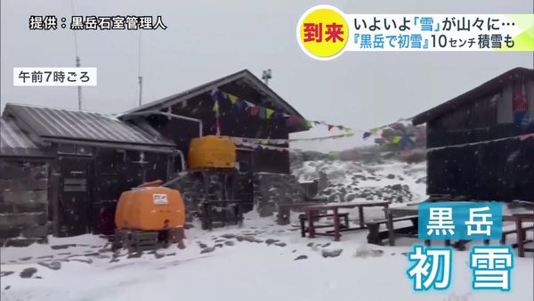 しょうこ